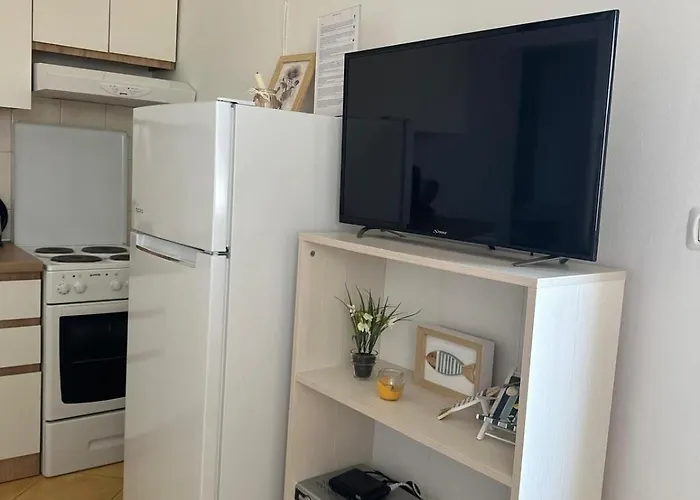 Radic Apartman *